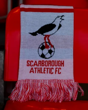 Scarves